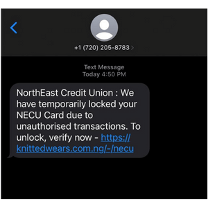 Text Scam_300x300 (1)