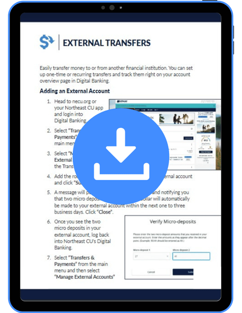 External Transfers_Snapshot