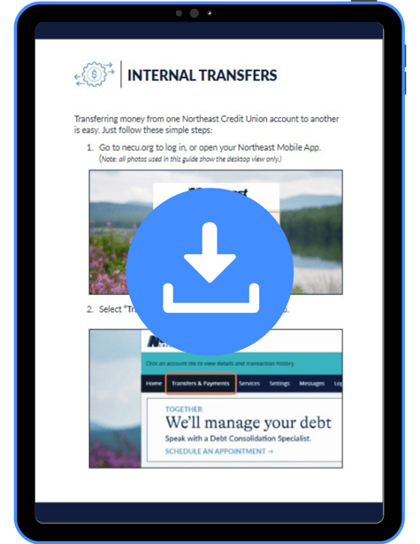 Internal Transfers_Snapshot