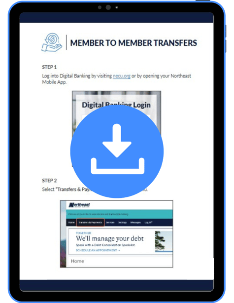 Member to Member Transfer_Snapshot